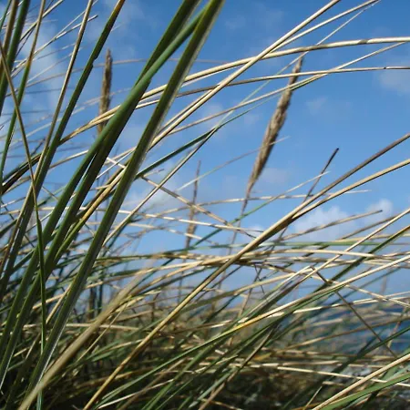 Apartment Dünenblick Meeresbrise *